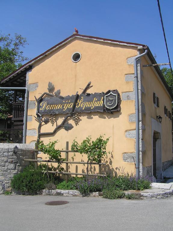 Guesthouse Domacija Sajna Sežana المظهر الخارجي الصورة